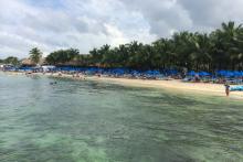 excursion beach shore cozumel paradise guest