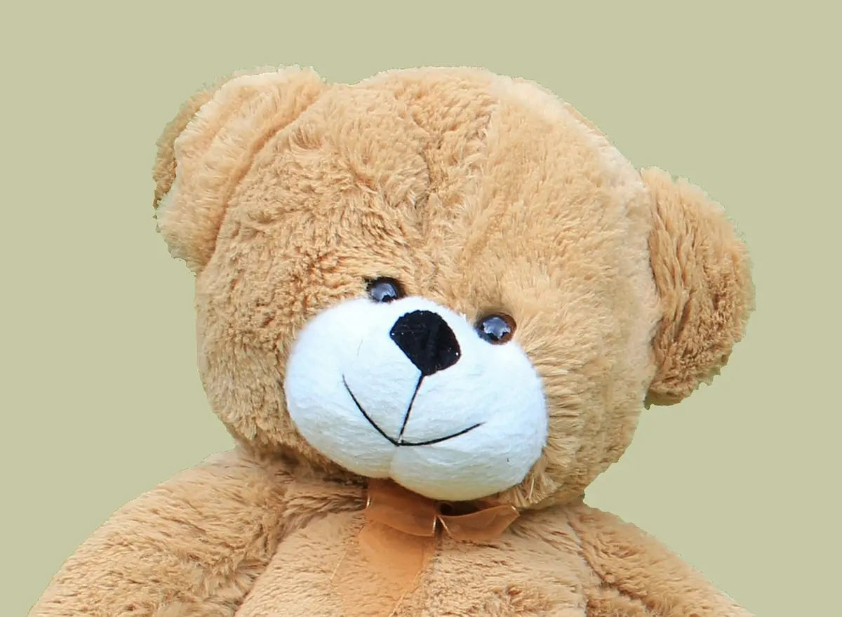 Teddy Bear Teddy Bear