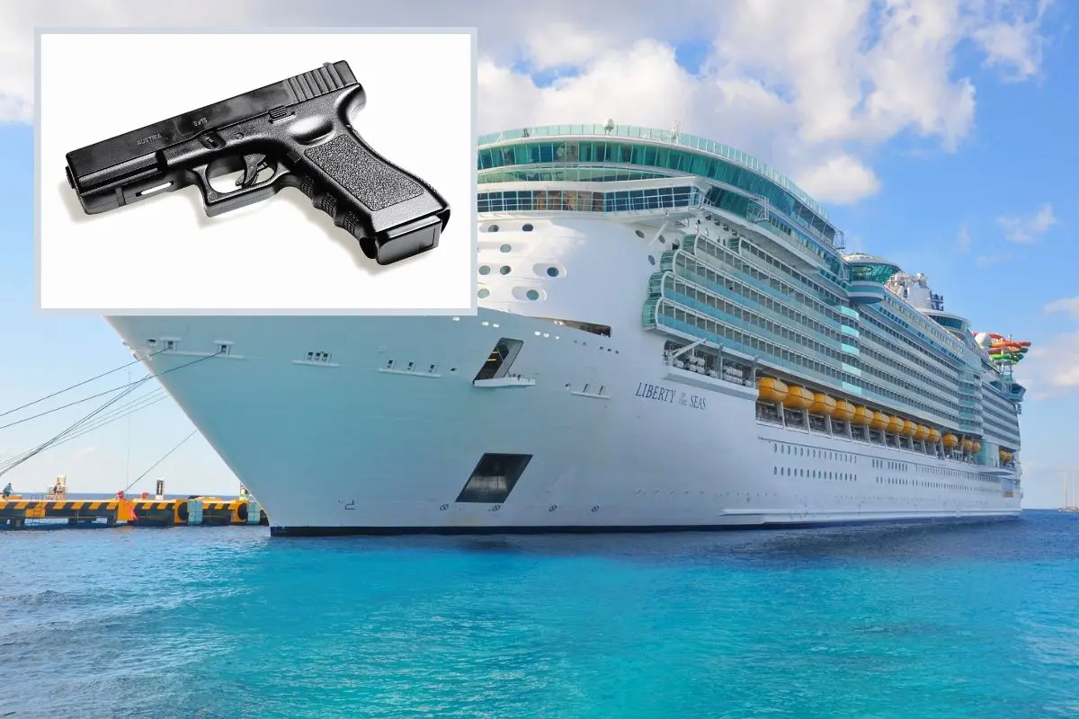 Liberty-Gun-Arrest-Grandmother-Hero Liberty-Gun-Arrest-Grandmother-Hero