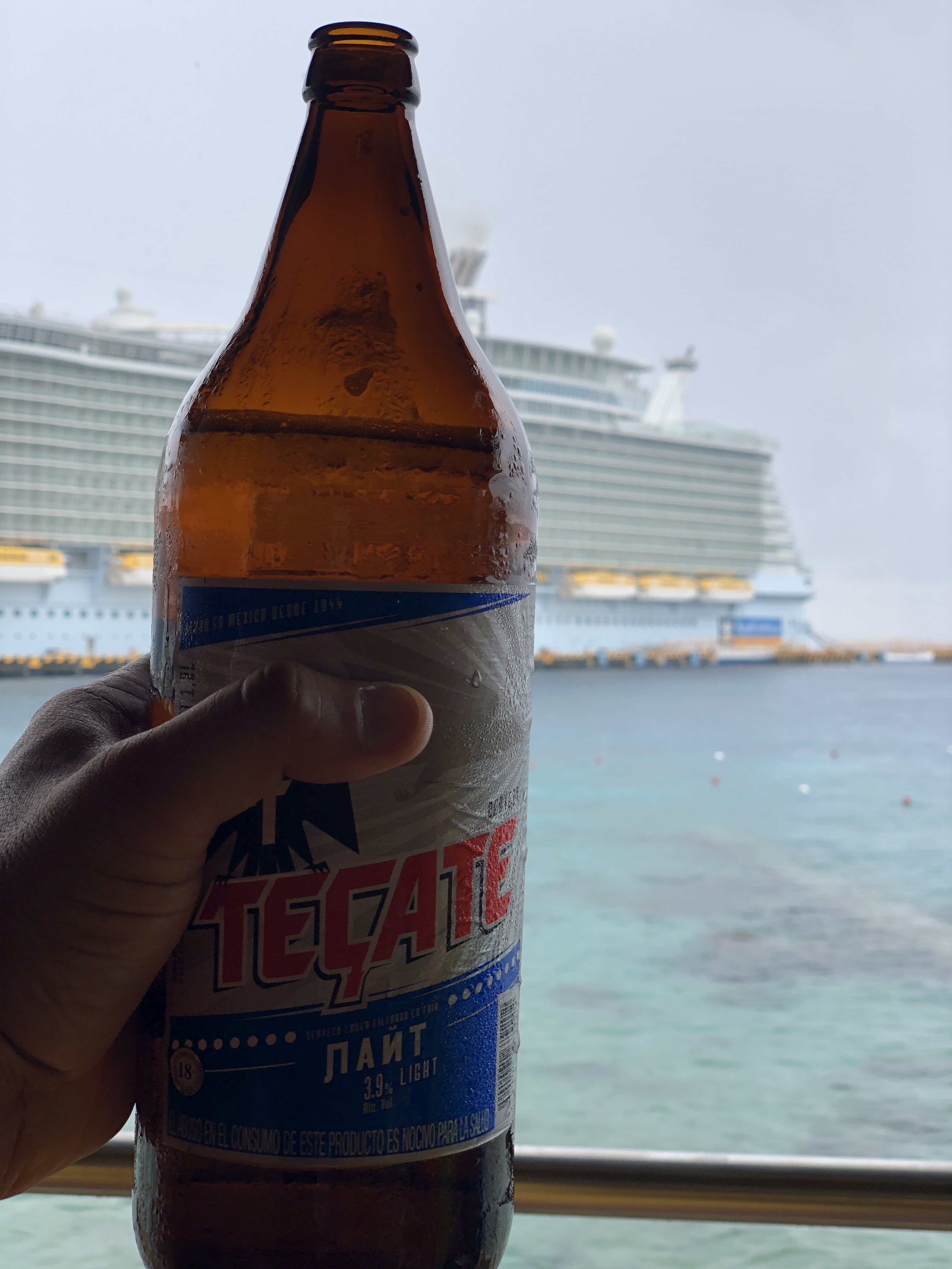 Senor Frog’s at Cozumel - Shore Excursions - Royal Caribbean Blog