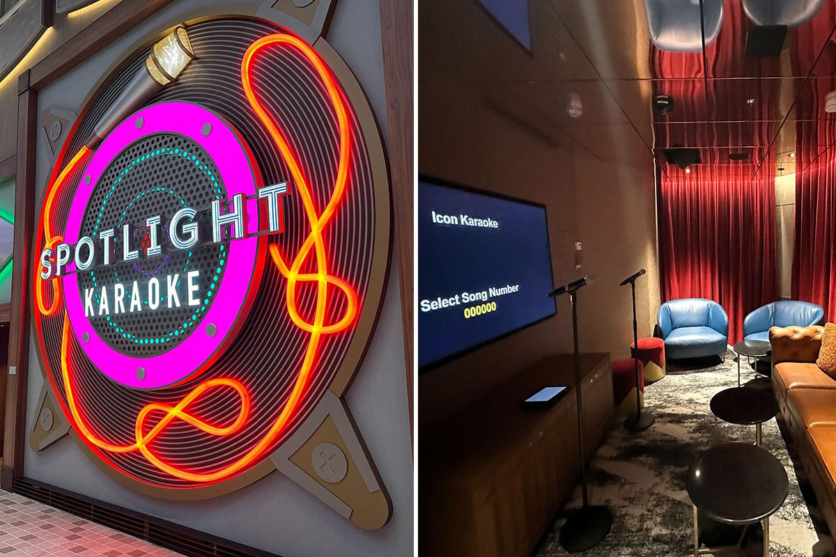 REVIEW: We Tried Royal Caribbean Personal Karaoke Room, Price $70