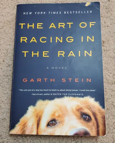 Art of racing in the rain