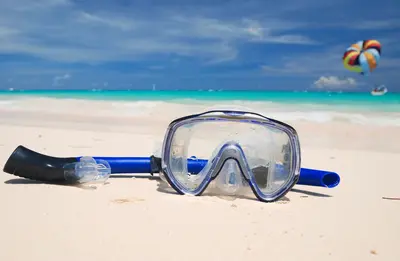 A diver finds a bag of bones on the Coco beach in Badalona