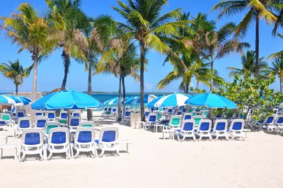 Beach chairs