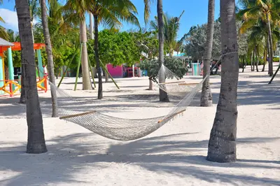 Hammocks