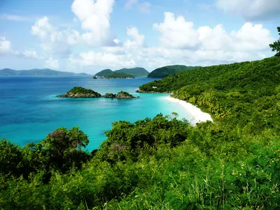 Trunk Bay