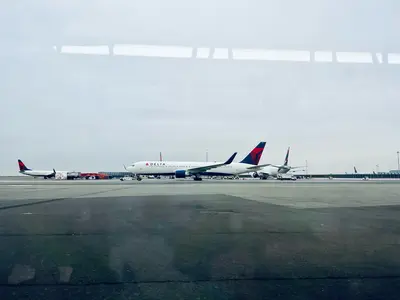 Delta planes