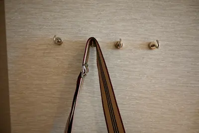 Magnetic Hooks