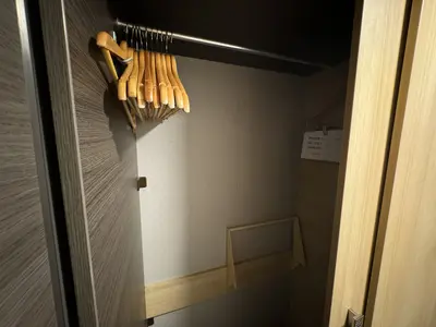 Harmony of the Seas closet