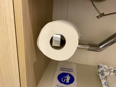 toilet paper on a cruise