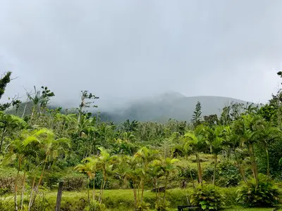 Dominica