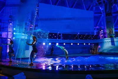 Utopia of the Seas aqua show