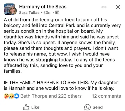 Facebook post about the 12-year-old boy who fell to his death on Harmony of the Seas