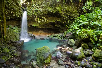 waterfall and pool in Dominica