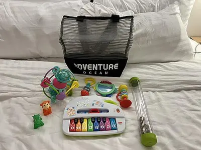 Icon Toy Bag