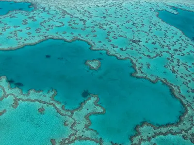 Aerial shot of Heart reef