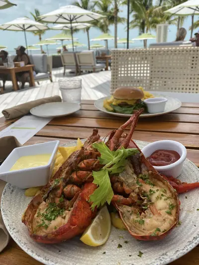 Lobster meal