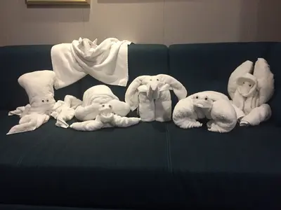 Towel animals