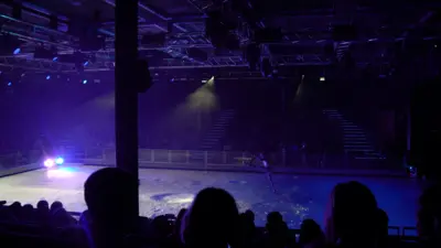 Ice show