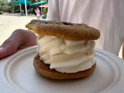 Ice cream sandwich