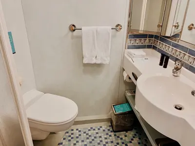 Voyager of the Seas cabin bathroom