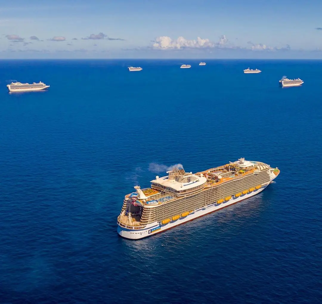 Photo by Liam Davison Photo by Liam Davison