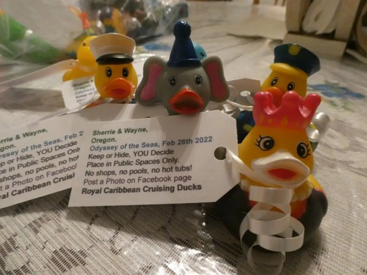 WAYNO-Duck WAYNO-Duck