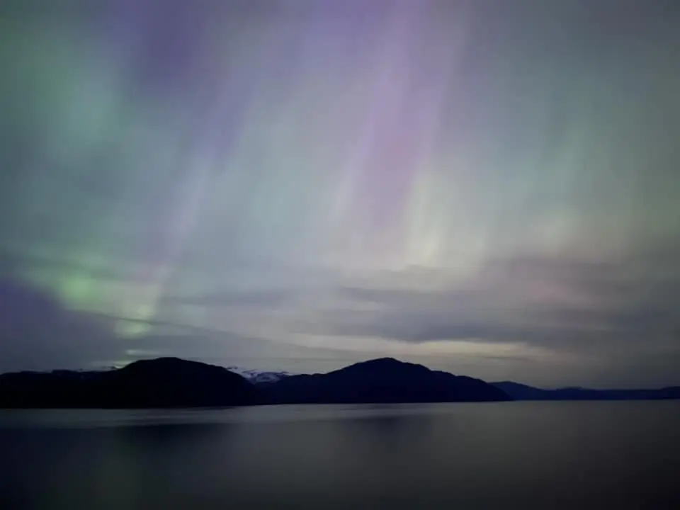 Northern lights on Quantum of the Seas