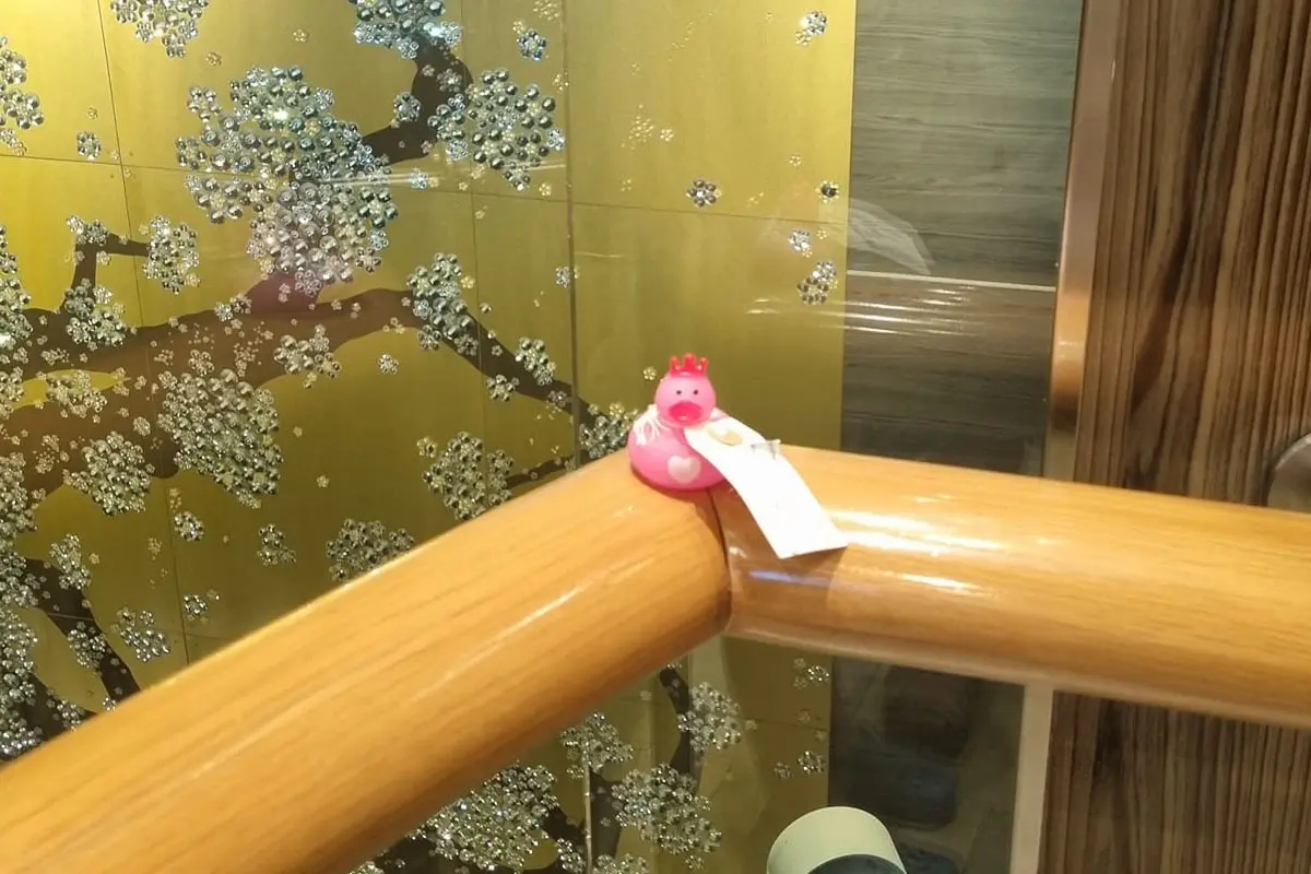 Duck in an elevator
