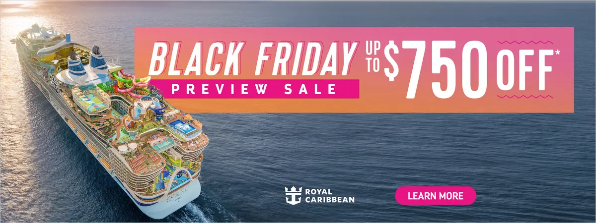 2024 Black Friday sale