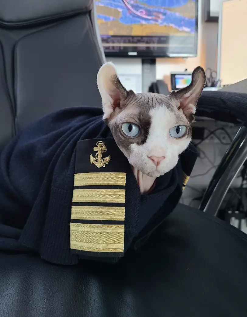 Bug-Naked-Captain-Kate Bug-Naked-Captain-Kate