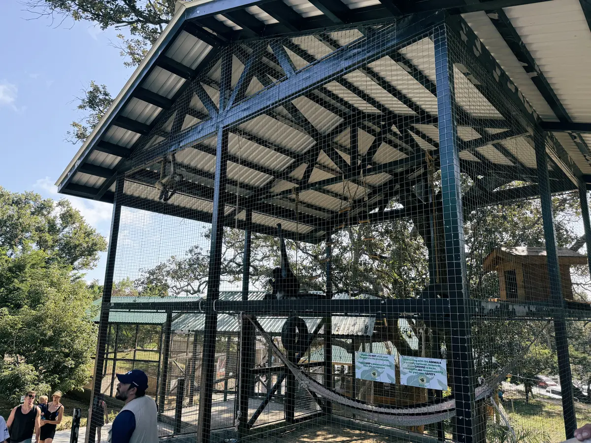 Roatan-Honduras-Excursion-Animals-Wonder Roatan-Honduras-Excursion-Animals-Wonder