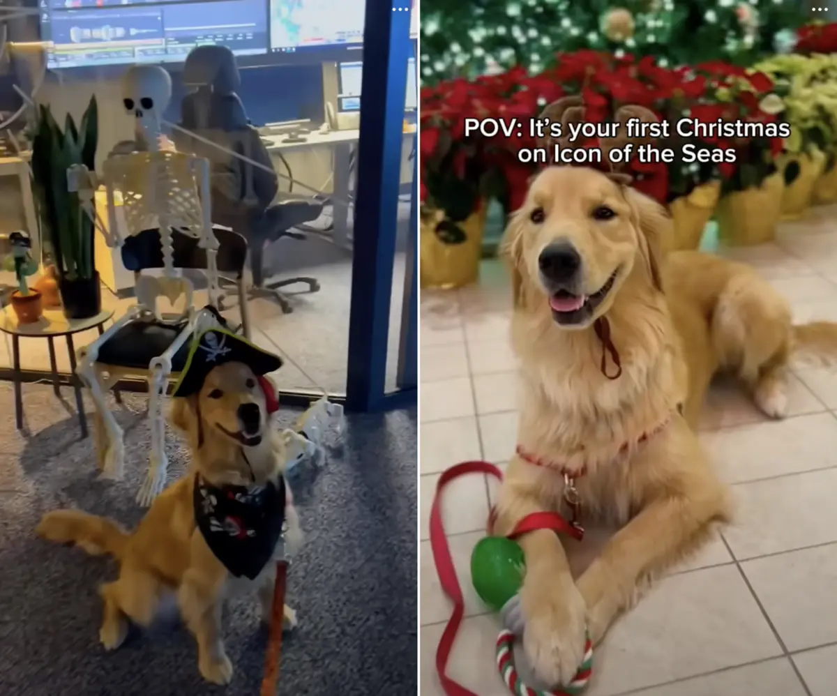 Rover-Costumes-1 Rover-Costumes-1