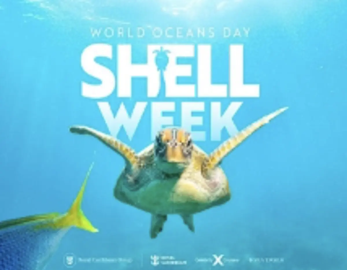 Shell-Week-Contestant-Preview Shell-Week-Contestant-Preview