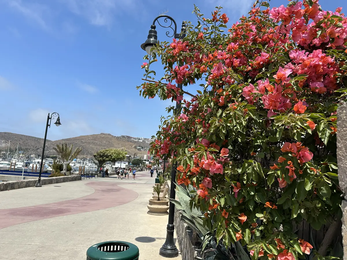 Street in Ensenada