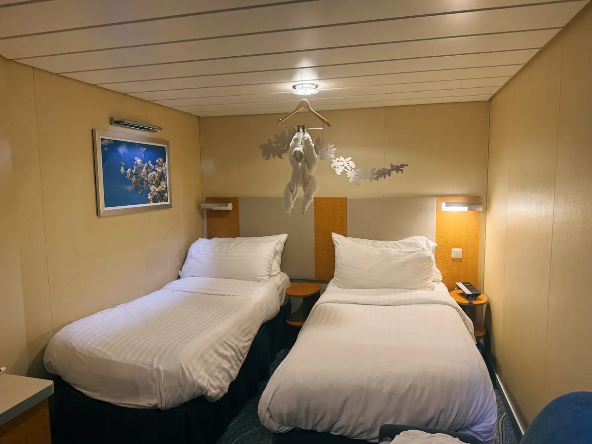 Oasis-Inside-Cabin-13-Towel-Animal Oasis-Inside-Cabin-13-Towel-Animal