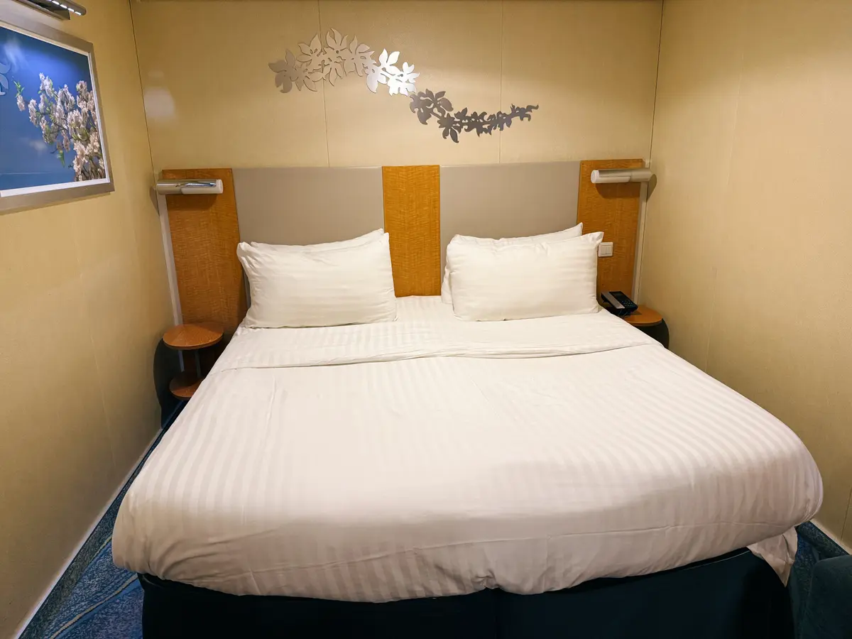 Oasis-Inside-Cabin-1 Oasis-Inside-Cabin-1