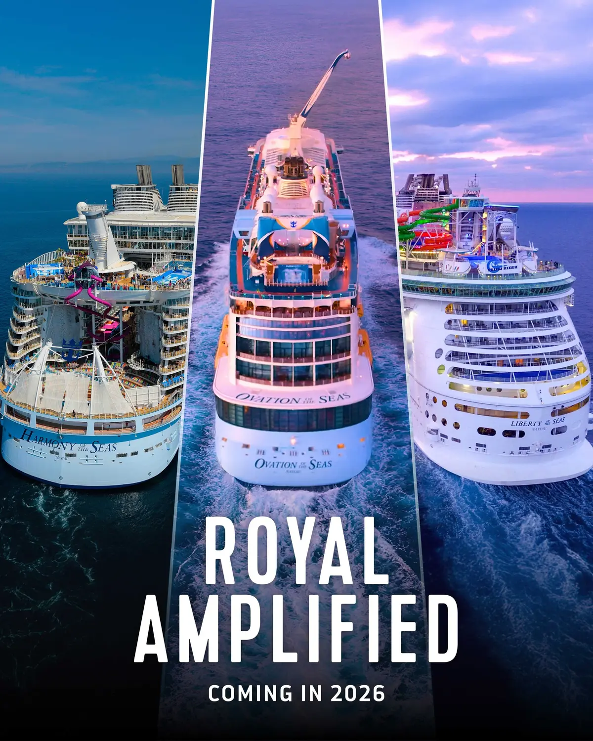 Royal Amplified