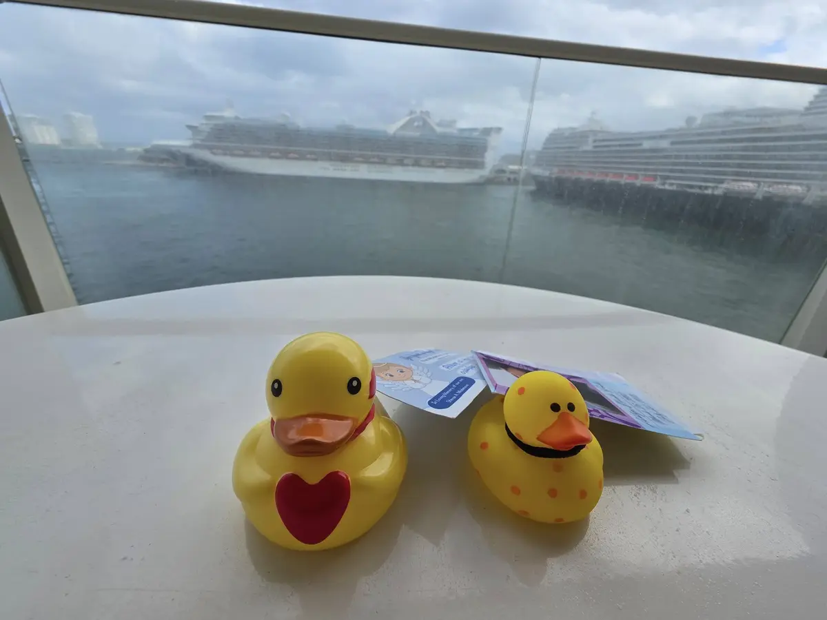 Ducks on a cruise
