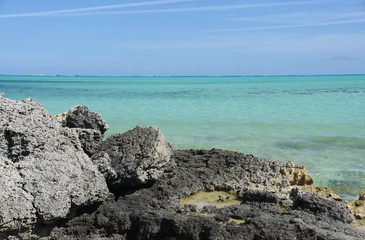 Mayaguana Lava Rock Mayaguana Lava Rock