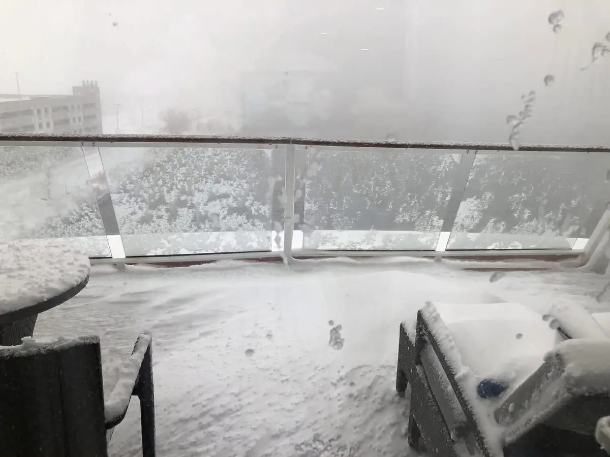 Odyssey of the Seas in the snow Odyssey of the Seas in the snow