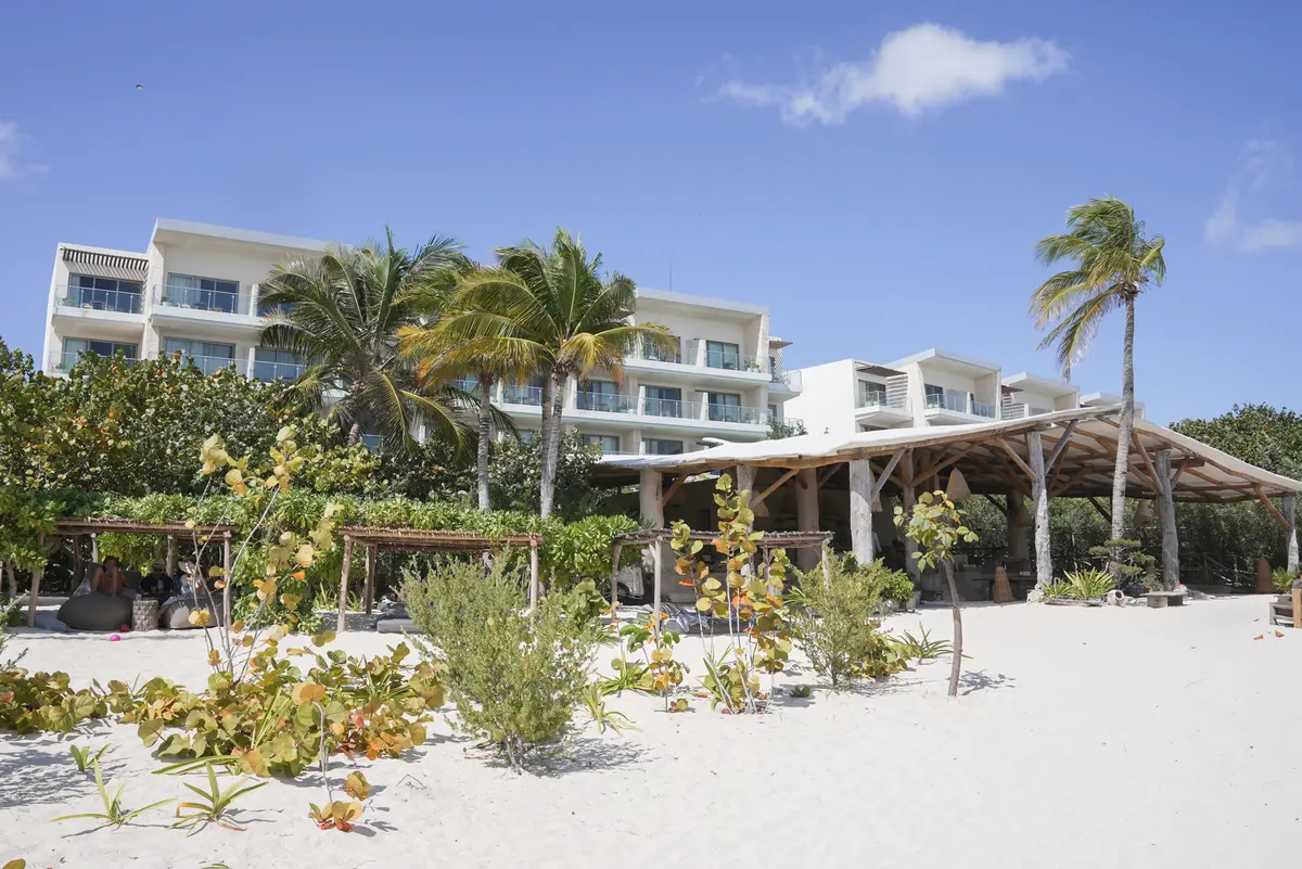 Palmaia The House of Aia buildings