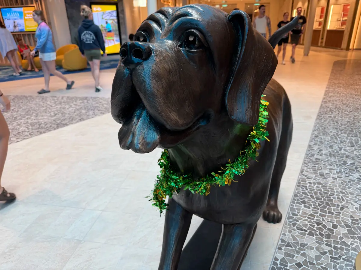 St. Patrick's Day on Star of the Seas St. Patrick's Day on Star of the Seas
