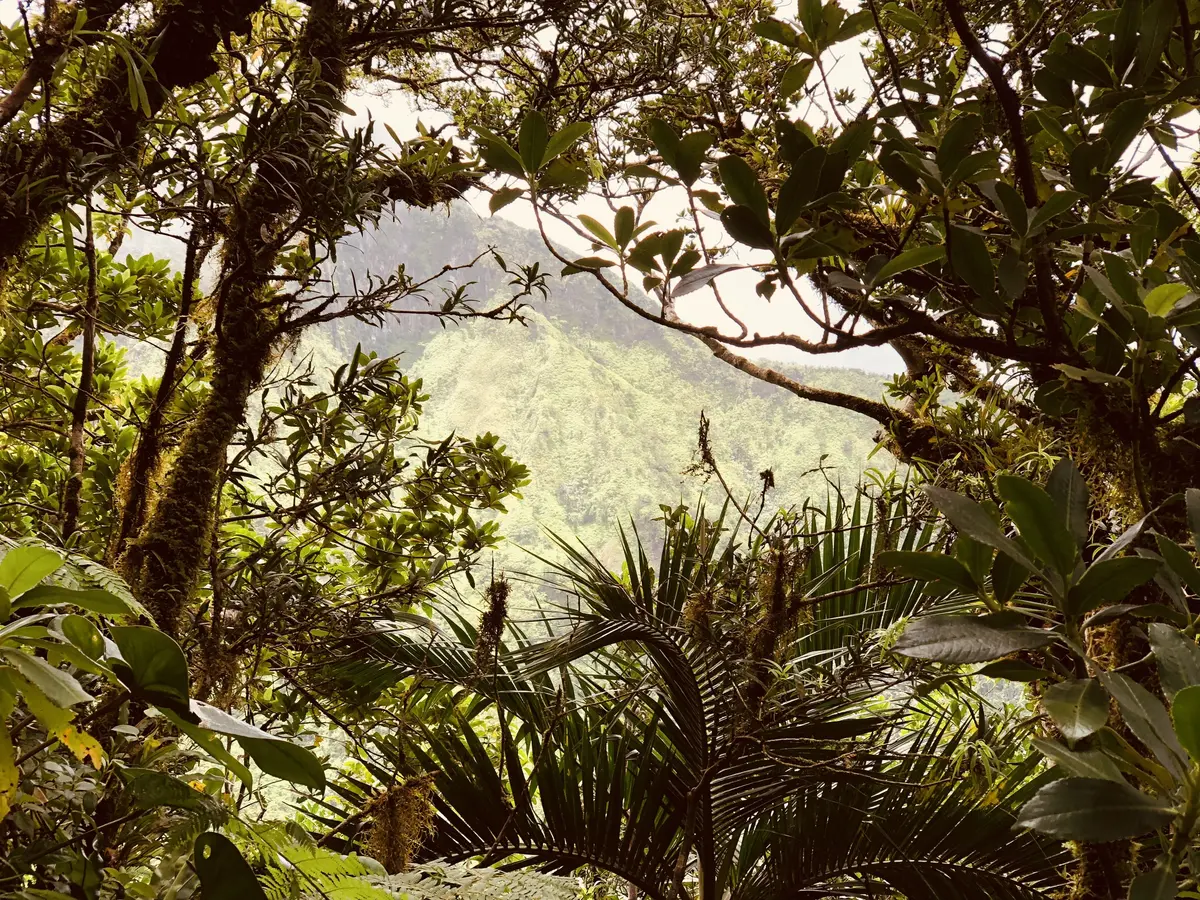 St Kitts Volcano St Kitts Volcano