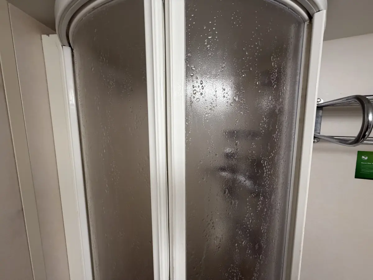 Shower door