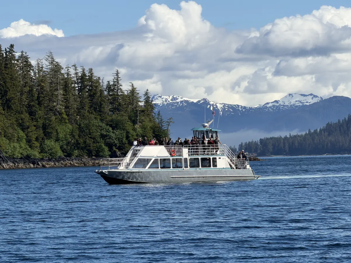 Whale watching tour group