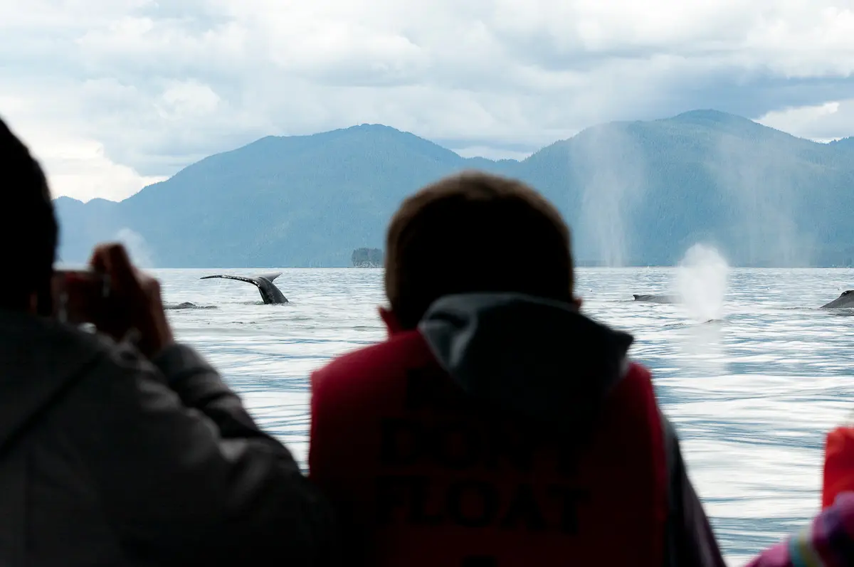 Kids watching whales