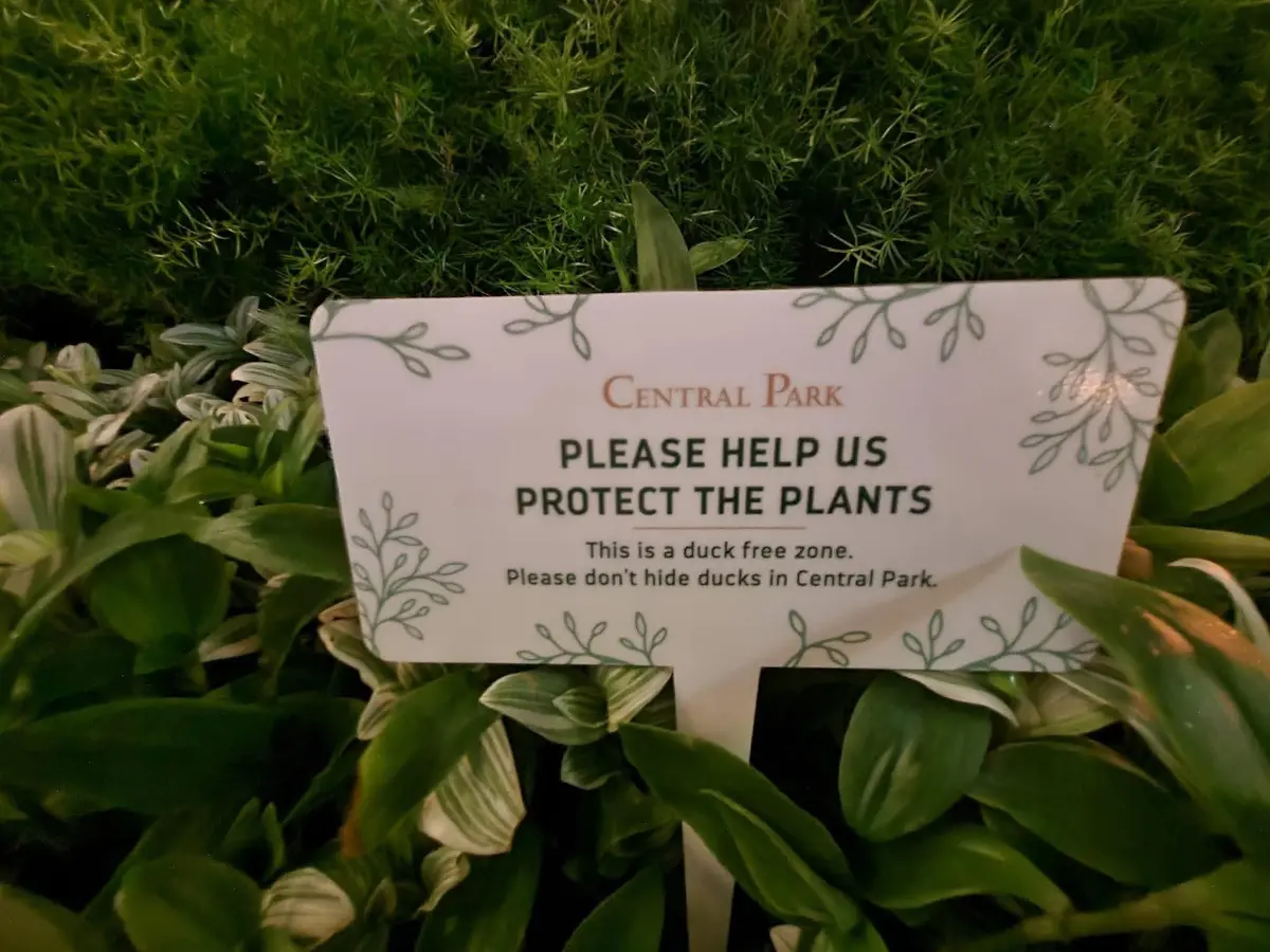 Duck-Hunting-Sign Duck-Hunting-Sign