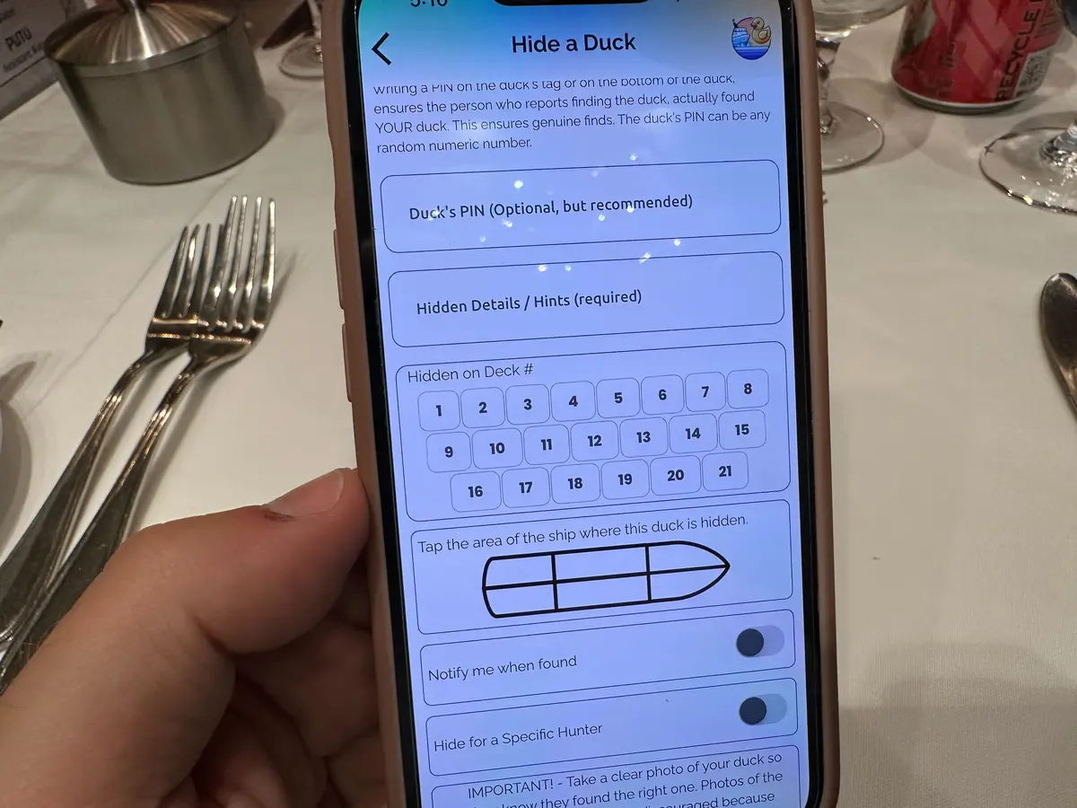 Hiding a duck with the app