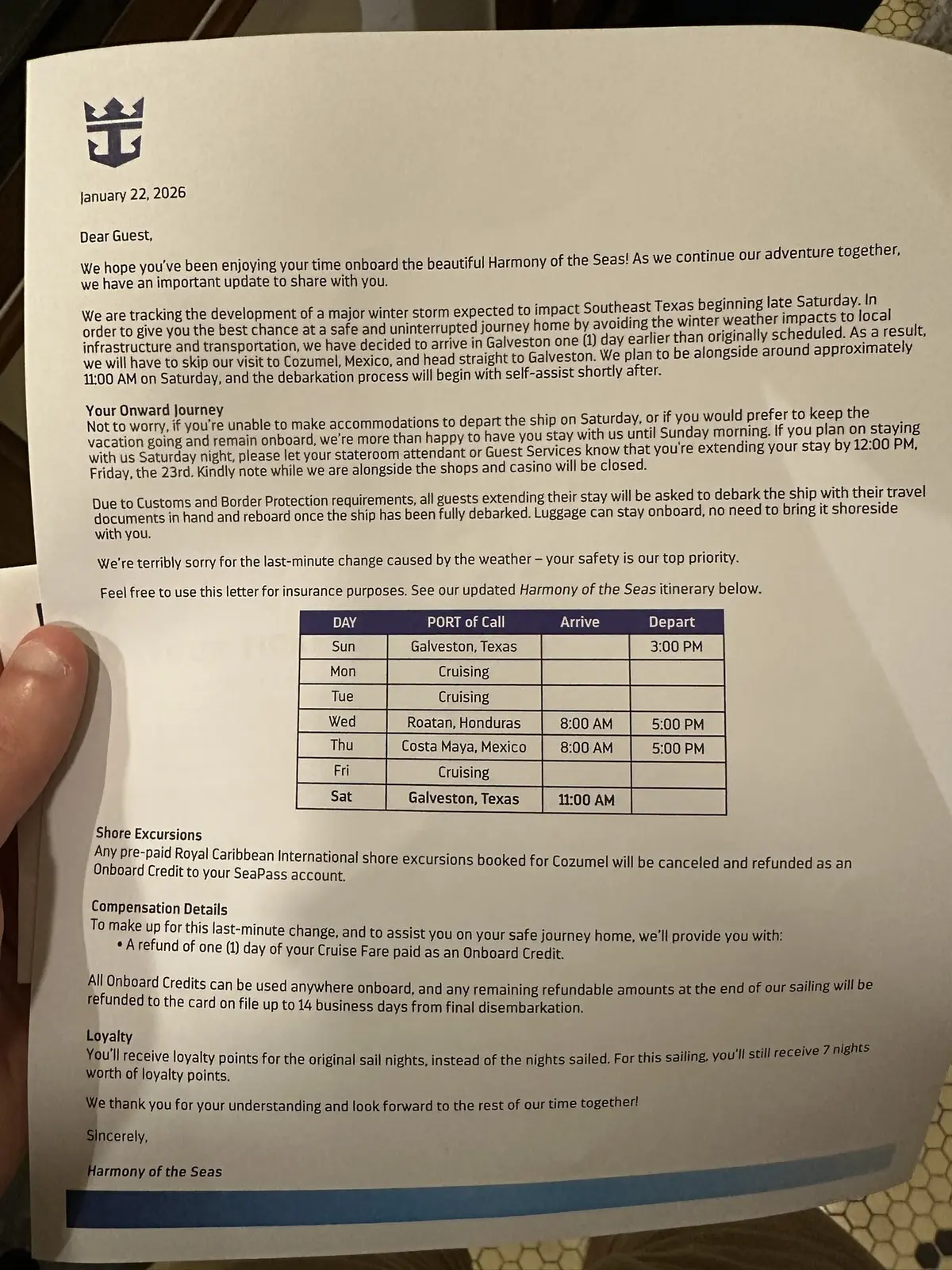 Harmony Winter Storm Fern Letter Harmony Winter Storm Fern Letter